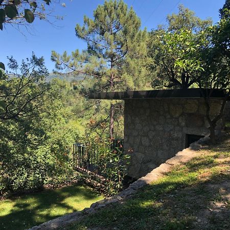 Sobreiro Valley - Casa Firmino Vieira do Minho Extérieur photo